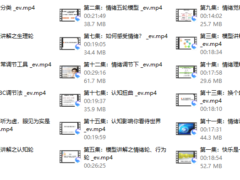 赵了了《情绪及压力管理》