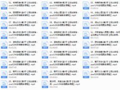 路易团队2017追逐直播课