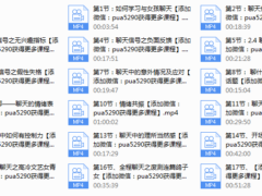 路易团队《聊法》聊天课