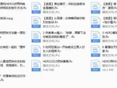 路易团队公开课