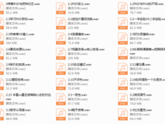 路易团队基础课音频