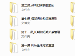 路易团队承情2015年网络课