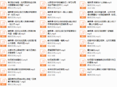 软价值恋爱情商–恋爱成长学会课程