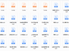 辛健增肌训练营