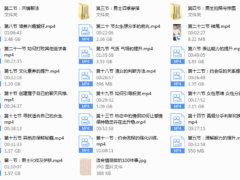 迪诺情感《2020情受私教课》