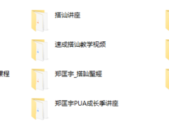 郑匡宇全集（老课程）