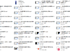 重开计划（大橙2.0）2499