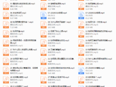 阮奇《手把手教你追女孩》
