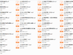 阮奇《手把手教你追女孩》（完结）