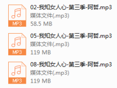 阿哲3.0更新
