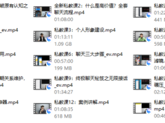 陈哥 核心私教课2.0