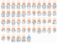 陈果人生果然不同