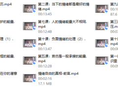 隔壁王司机情绪自由的真相