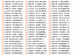 雅痞75集网络课程