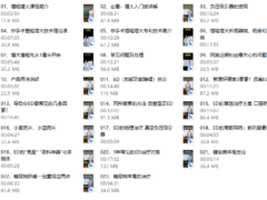 韩教授增粗增大入门版20天训练套餐（最新）