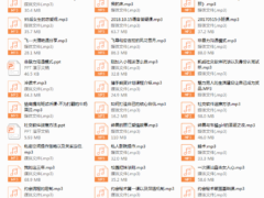 飞约会