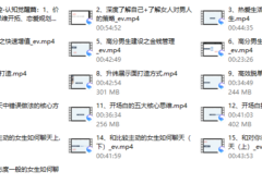 高大橙《重开计划2.0》