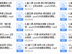 魅力声音