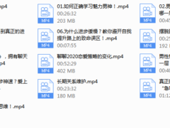 魅力男神系列之恋爱导航