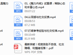 魅力男神系列之魅力内核