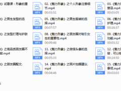 魅力男神系列之魅力形象