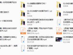 魅男《撩术》