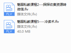 魅眼私教课程（完结）
