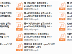 魔卡北京面授课录音