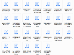 魔鬼咨询师阮琦收费视频