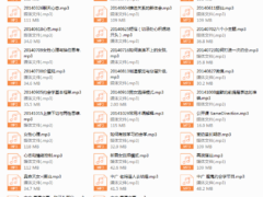魔鬼咨询师vip课程4.0