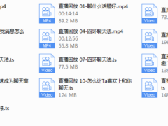 麦坤《恋爱脱单聊天课》