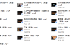 麦迪森 BOSS