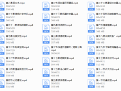 黑桃K私教