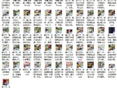 黑猫门徒教学展示课程