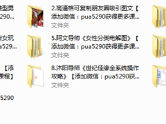 Kings赠品等多个文件