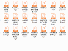 leo价值模型