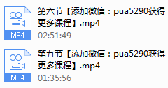 PUANEY可复制聊天课