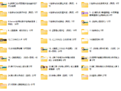 何丽娟合集