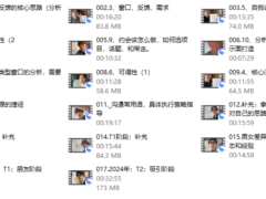 林老头本人服务（终身有效可线下见面）