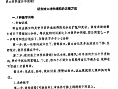 《哲龙-房中术（官方售价498元）》