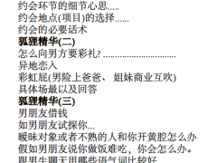 《狐狸精炼修手册Ⅰ》