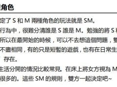 《S&M》