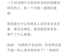 什么是恋爱脑