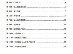 泡妹老手（电子版）