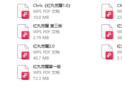 红丸觉醒1.0-3.0电子版