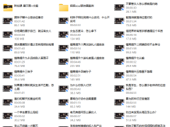 冯玺谏.职业社交玩法（正版课程）