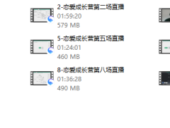 树成林《恋爱成长营2.0》
