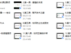 树成林《恋爱成长营》