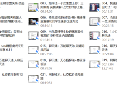 互联网顶级把妹玩法（598培训班专享）
