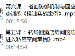 瑞恩良叔《实战的防御机制》